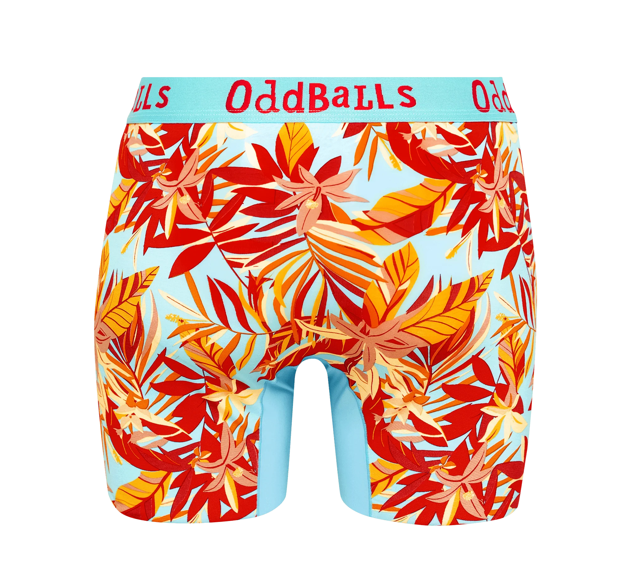 Bargain Bums Bundle - Ladies Bamboo Boxer Shorts 5 Pack - Image 10