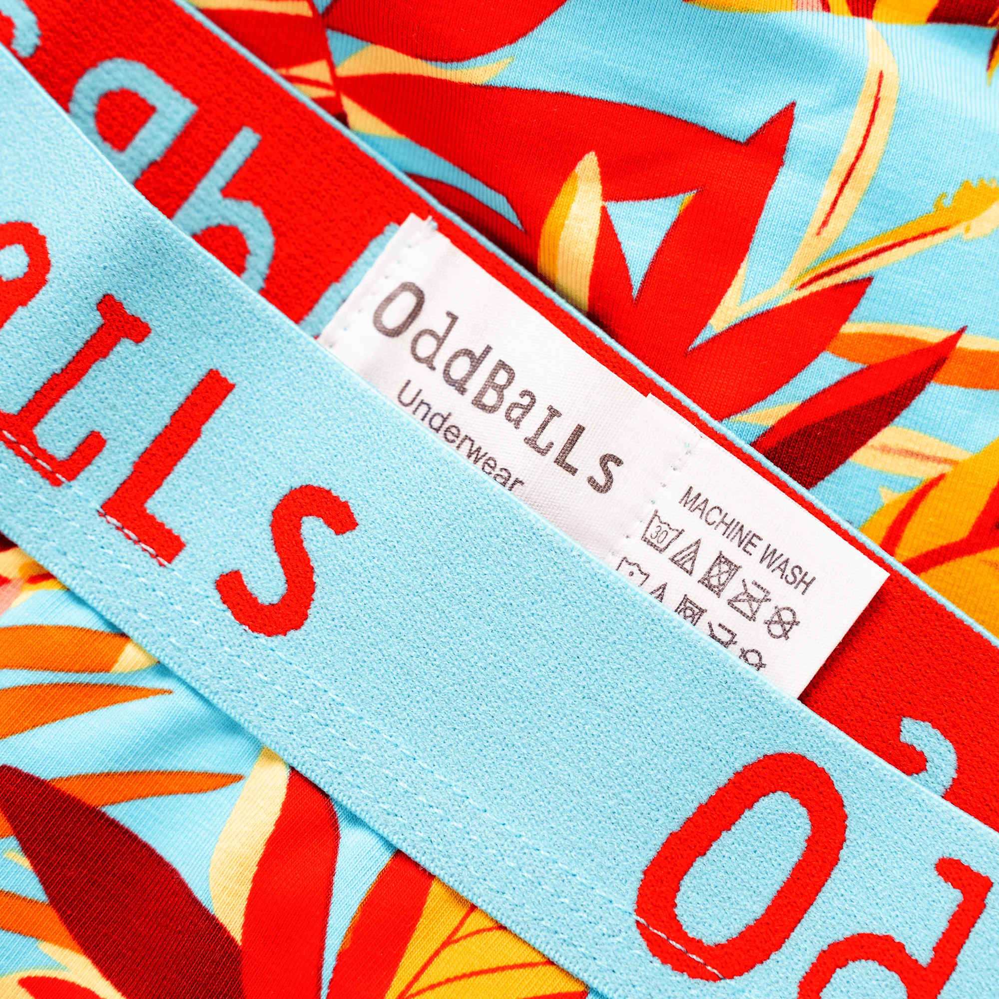 Calypso - Ladies Briefs - Image 3