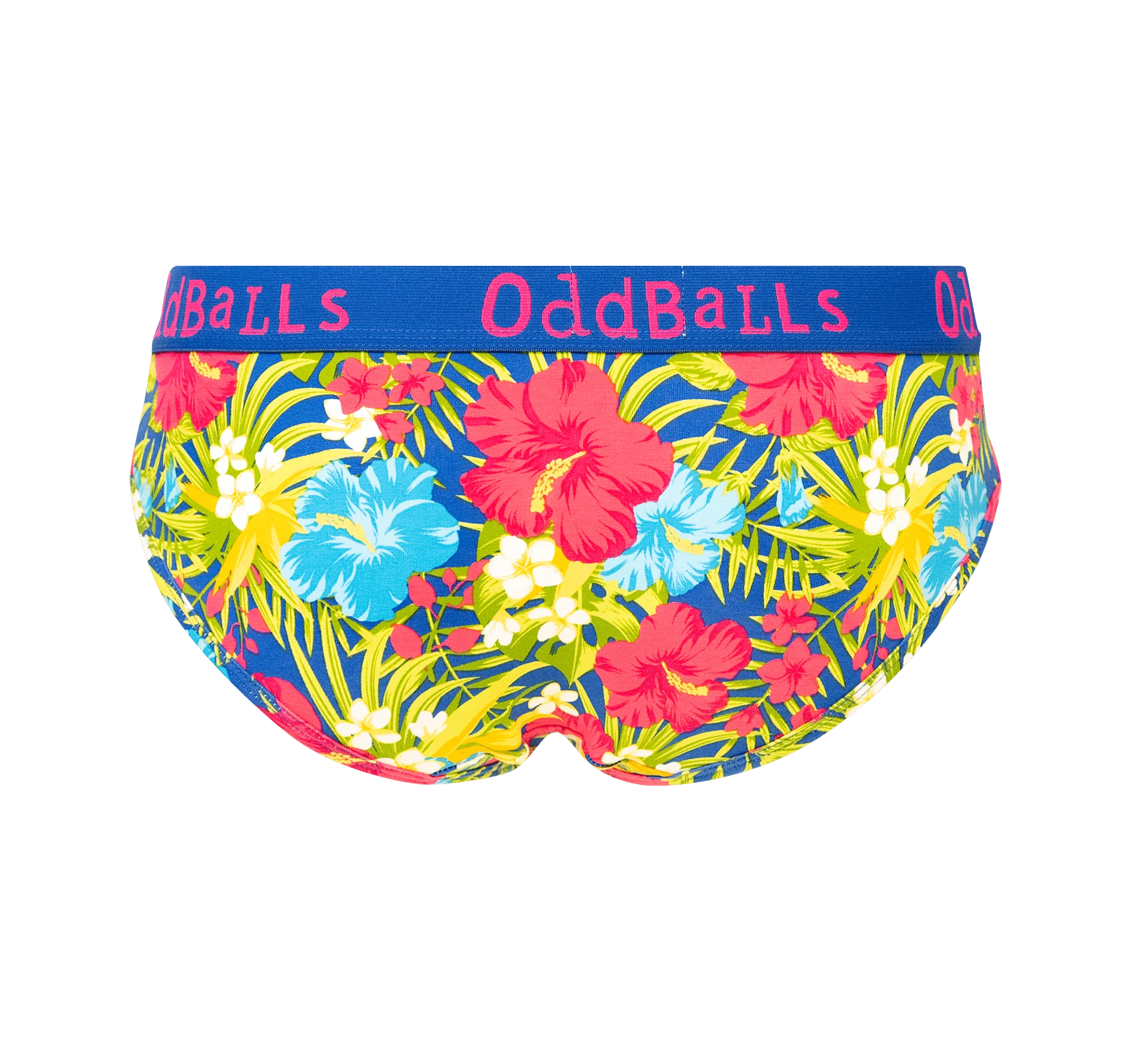 Loyal Legends Bundle - Ladies Briefs 6 Pack - Image 12