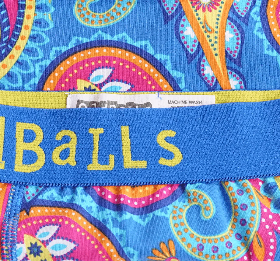 Paisley - Ladies Briefs - Image 3