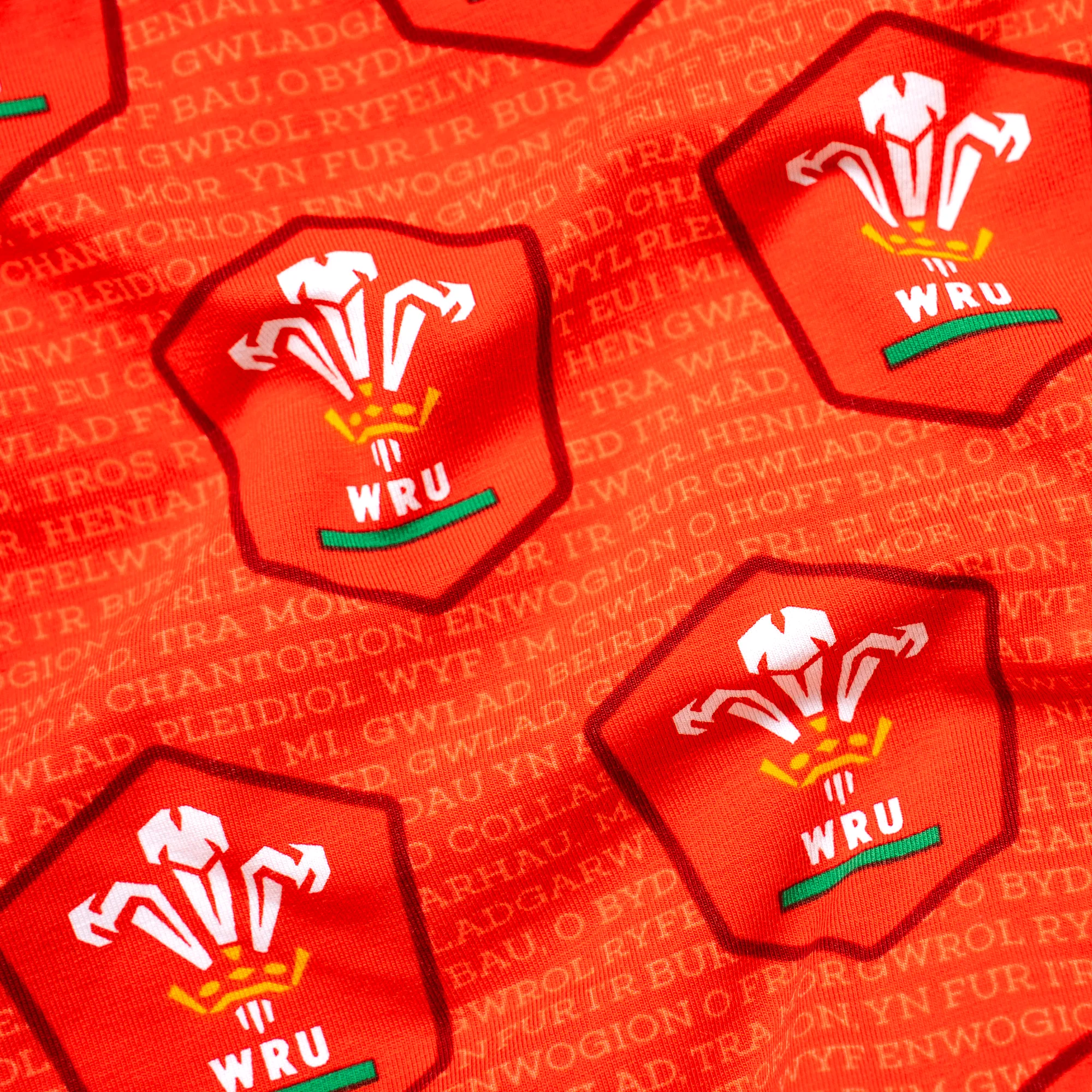 Welsh Rugby Union - Home - Ladies Briefs - Image 4