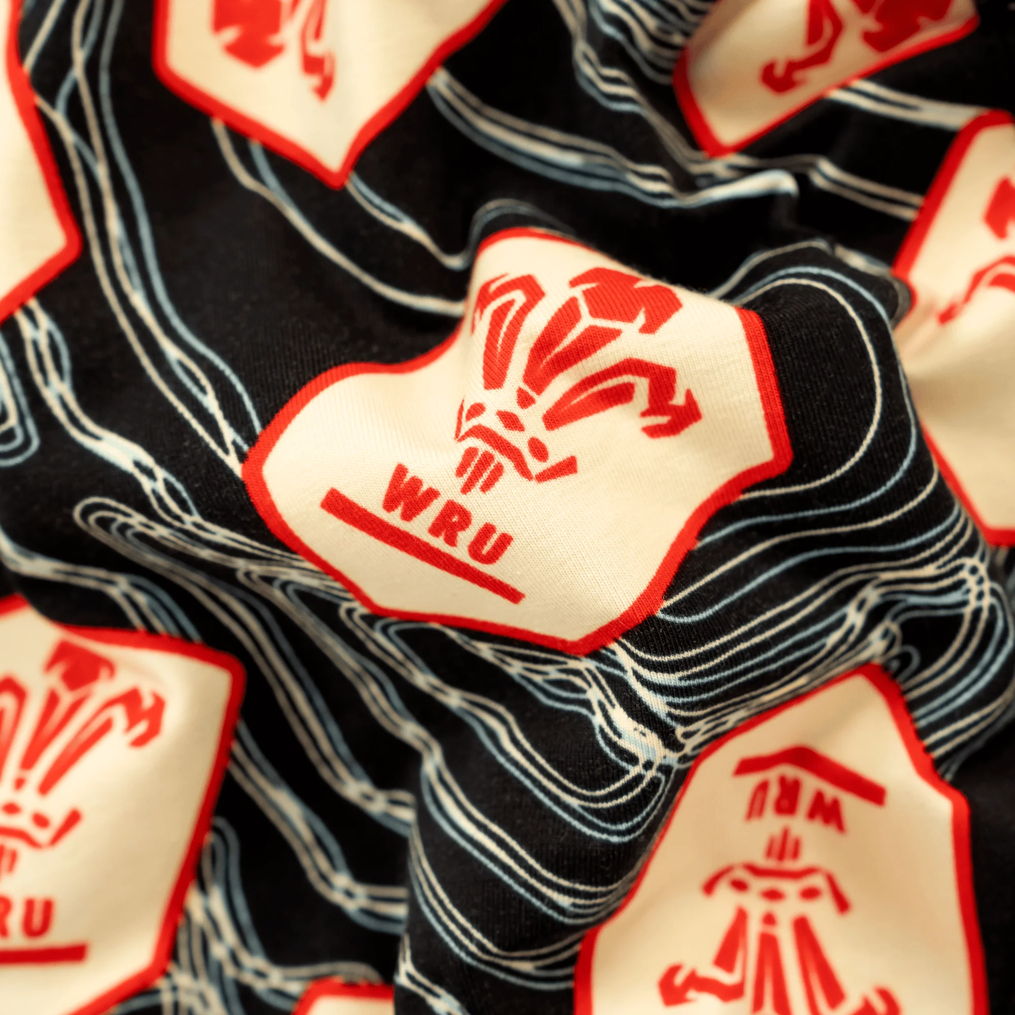 Welsh Rugby Union Alternate 25 - Kids Boxer Shorts - Goolie - Image 3
