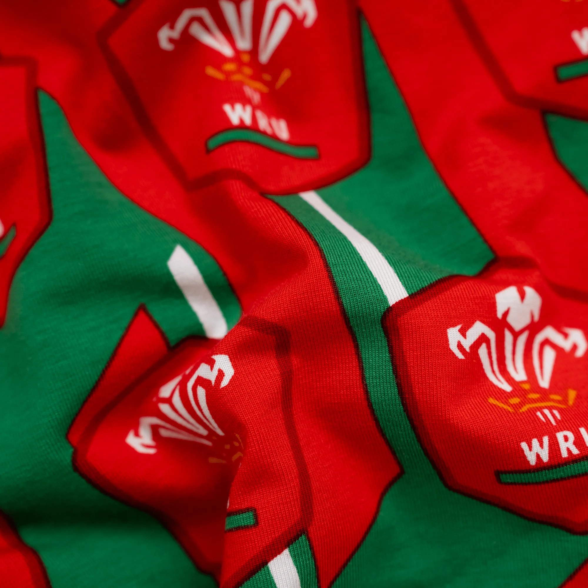 Welsh Rugby Union Alternate - Ladies Thong - Image 4